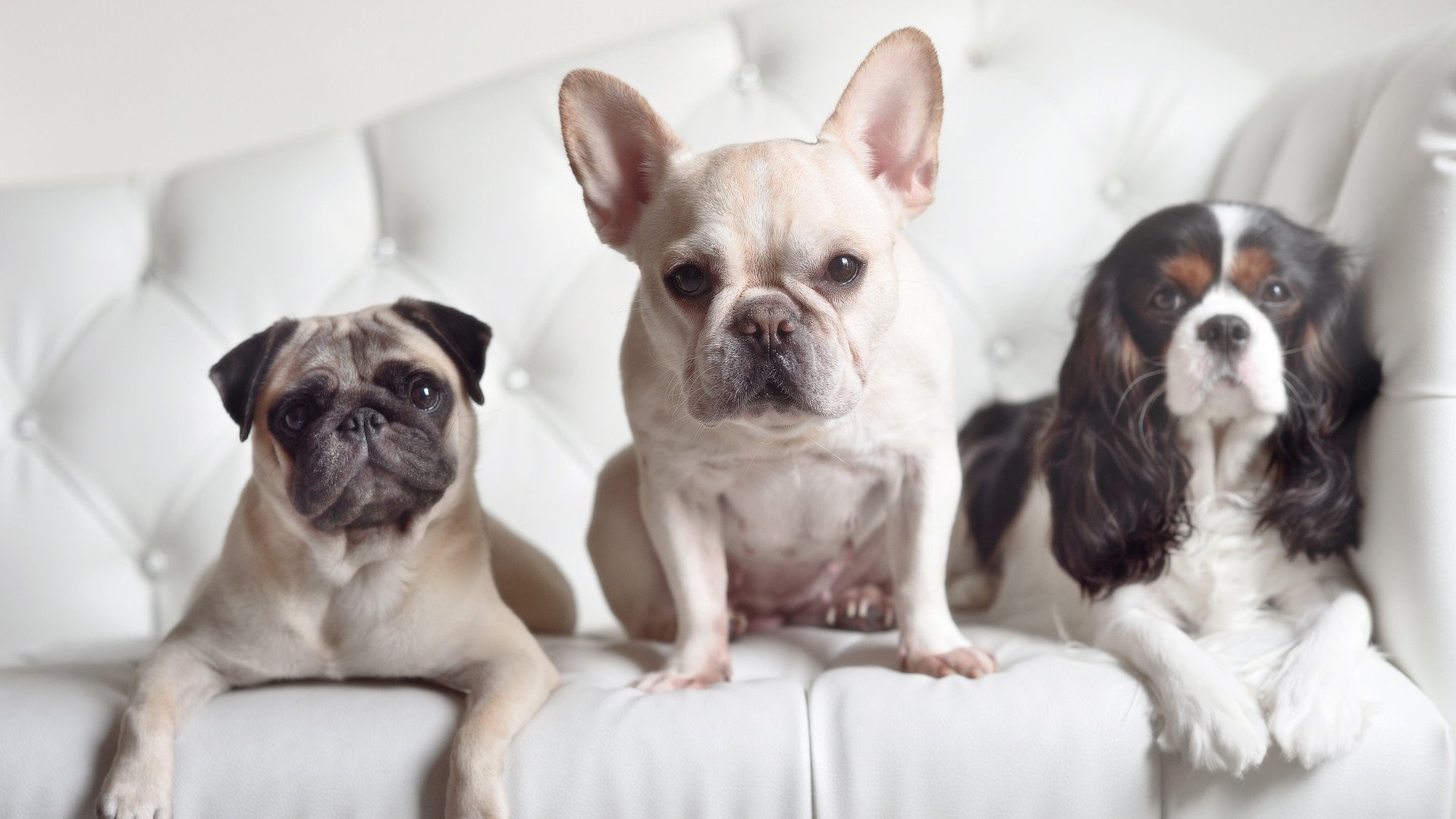 “青春光荣”青少年篮球主题系列公益作品在全国范围内火热上线